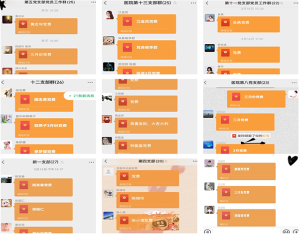 学习贯彻全国“两会”精神  筑牢党员使命担当