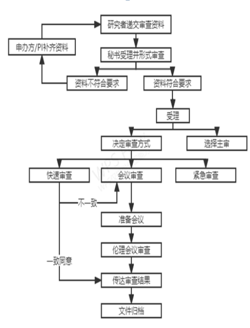 药物/医疗器械临床试验伦理委员会伦理审查流程图
