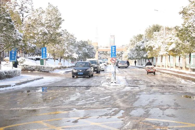 【闻“雪”而动】以雪为令齐行动 “医”路畅通护安全