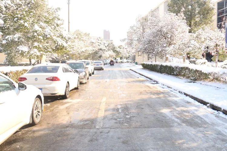 【闻“雪”而动】以雪为令齐行动 “医”路畅通护安全