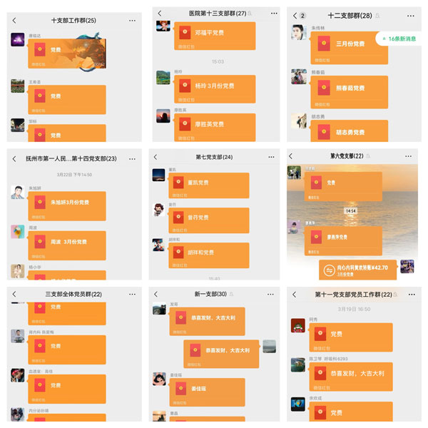 各支部开展3月份主题党日 各支部开展3月份主题党日