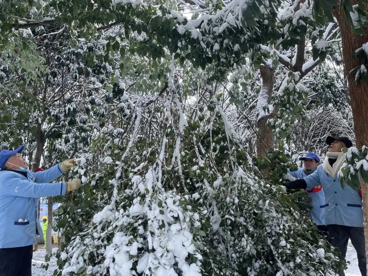 以雪为令齐行动 “医”路畅通护安全