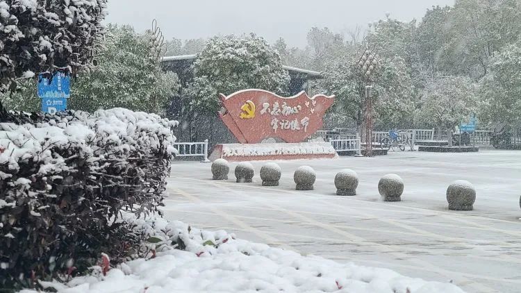 以雪为令齐行动 “医”路畅通护安全