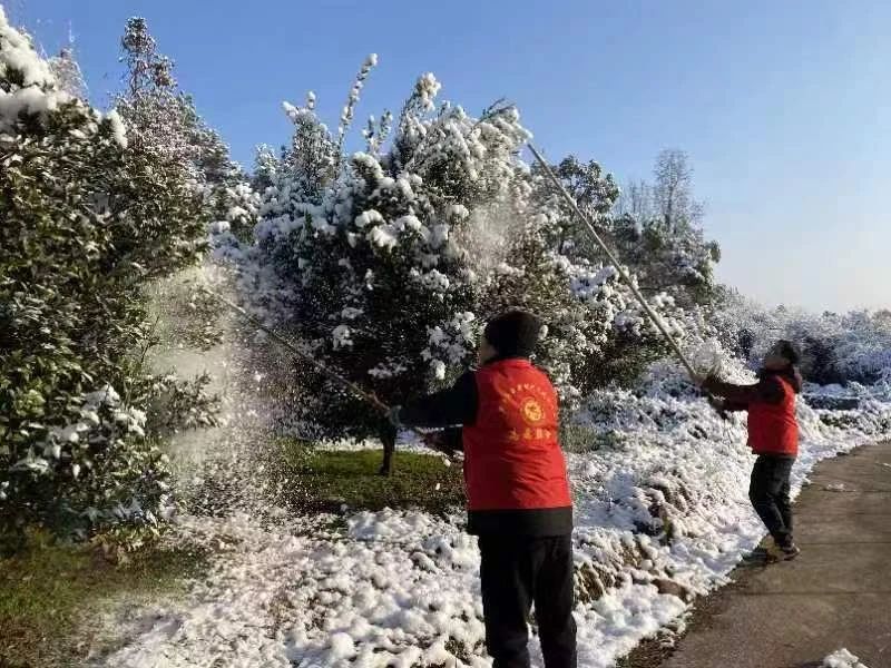 医院驻村工作队大雪里保畅通送温情