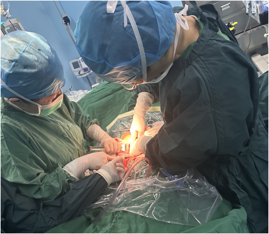 大型写实照片展《医务人员的春节》