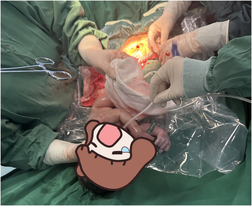 大型写实照片展《医务人员的春节》