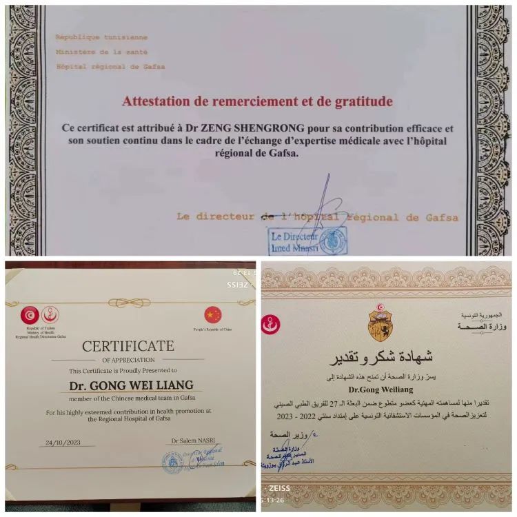 我院支援突尼斯医疗队队员龚维良、曾胜荣载誉凯旋