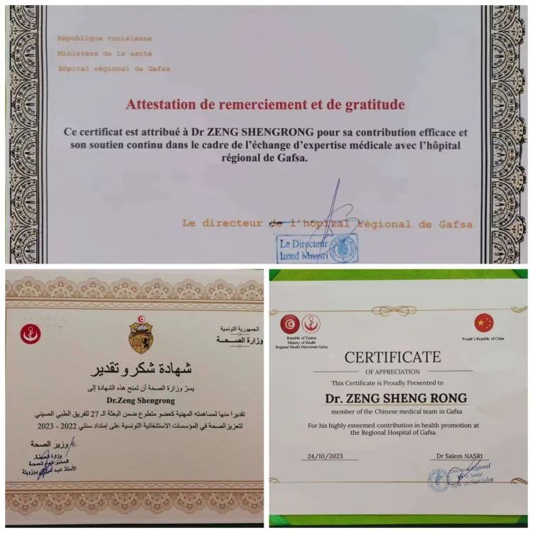 我院支援突尼斯医疗队队员龚维良、曾胜荣载誉凯旋