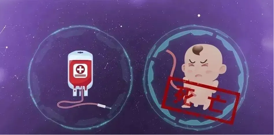 5月起，孕产妇、新生儿可在我院免费获得八项服务！！