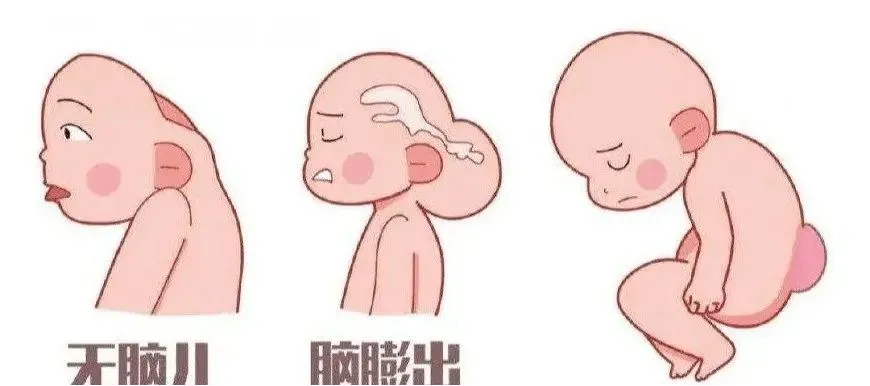 5月起，孕产妇、新生儿可在我院免费获得八项服务！！