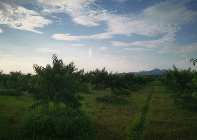 赞！我院驻村工作队在南城县基层理论宣讲大赛中获佳绩