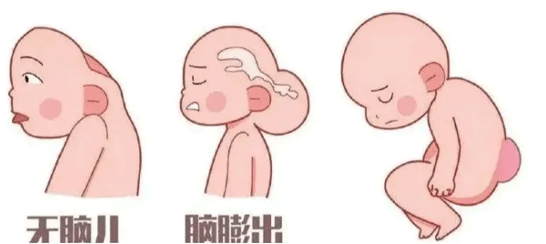 5月起,孕产妇、新生儿可在我院免费获得八项服务! 5月起,孕产妇、新生儿可在我院免费获得八项服务!