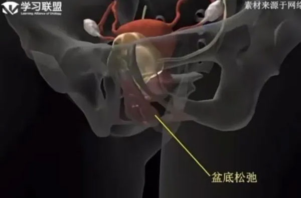【呵“护”到家】延续护理 延续关怀